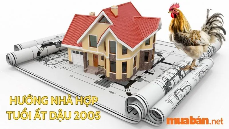 Tuổi Dậu hợp hướng nào? Hướng nhà tài lộc cho người tuổi Dậu