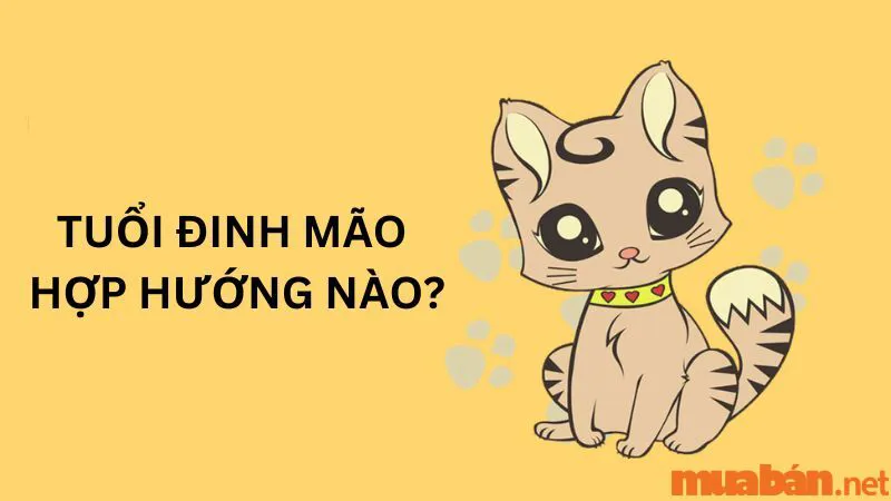 Tuổi Đinh Mão Hợp Hướng Nào? Xây Nhà Hợp Hướng Để Thu Hút Tài Lộc