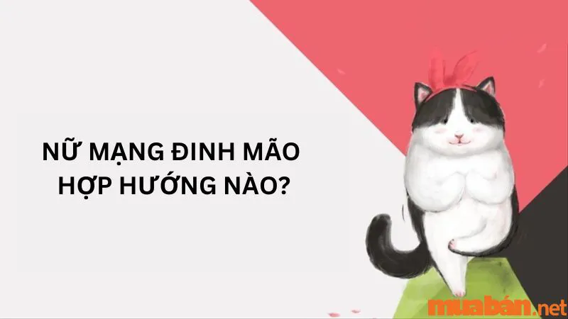 Tuổi Đinh Mão Hợp Hướng Nào? Xây Nhà Hợp Hướng Để Thu Hút Tài Lộc