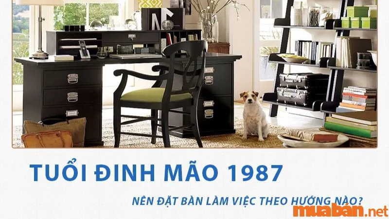 Tuổi Đinh Mão Hợp Hướng Nào? Xây Nhà Hợp Hướng Để Thu Hút Tài Lộc