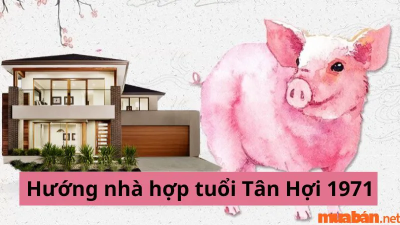 Tuổi Hợi hợp hướng nào? Hướng nhà tài lộc cho người tuổi Hợi