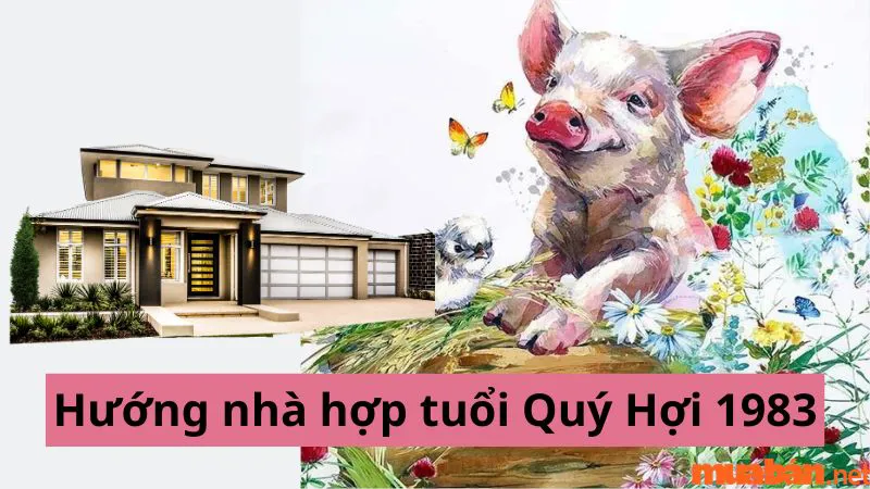 Tuổi Hợi hợp hướng nào? Hướng nhà tài lộc cho người tuổi Hợi