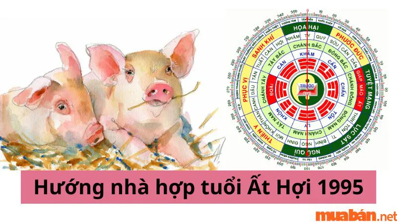 Tuổi Hợi hợp hướng nào? Hướng nhà tài lộc cho người tuổi Hợi