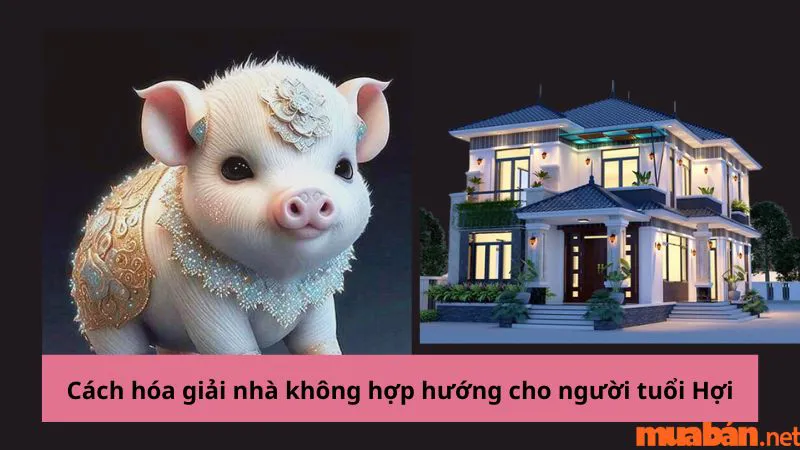 Tuổi Hợi hợp hướng nào? Hướng nhà tài lộc cho người tuổi Hợi