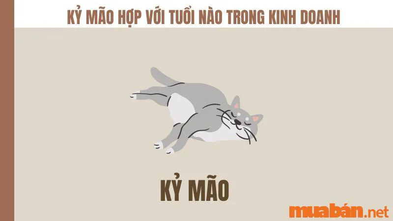 Tuổi Mão hợp với tuổi nào trong sự nghiệp, hôn nhân?