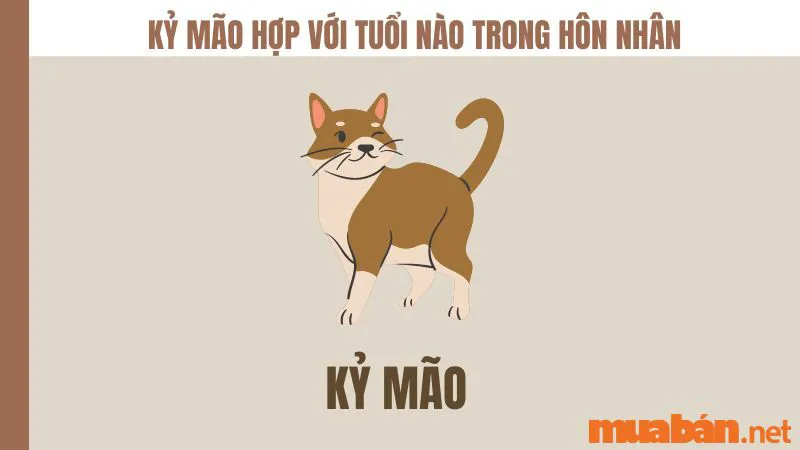 Tuổi Mão hợp với tuổi nào trong sự nghiệp, hôn nhân?