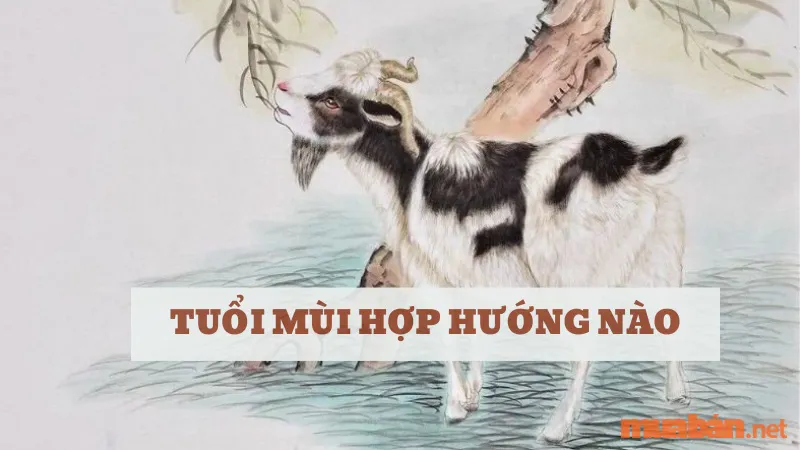 Tuổi Mùi hợp hướng nào? Hướng nhà tài lộc cho người tuổi Mùi