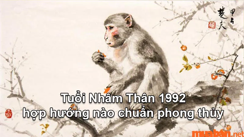 Tuổi Nhâm Thân 1992 hợp hướng nào chuẩn phong thủy giúp ăn nên – làm ra