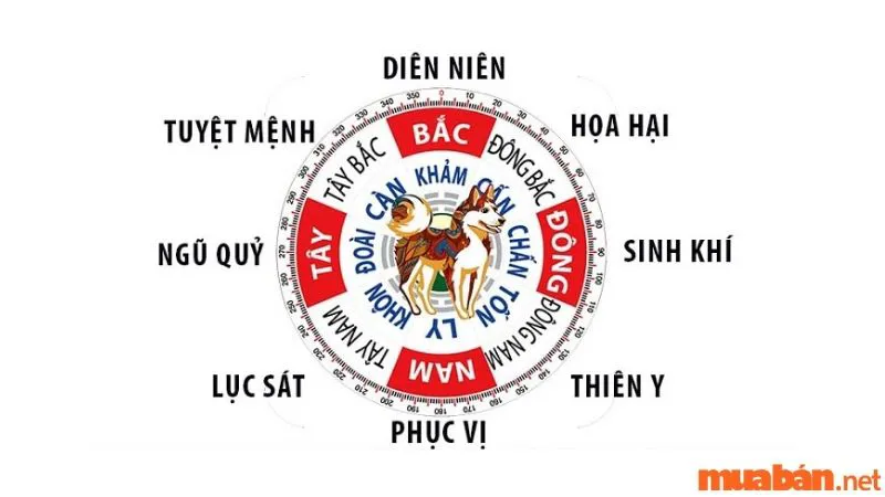 Tuổi Nhâm Tuất 1982 hợp hướng nào? Chi tiết bố trí hướng nhà hợp phong thủy 1982