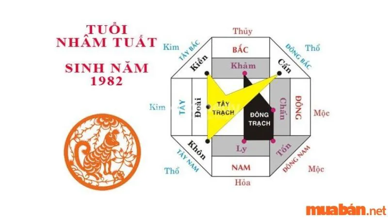 Tuổi Nhâm Tuất 1982 hợp hướng nào? Chi tiết bố trí hướng nhà hợp phong thủy 1982