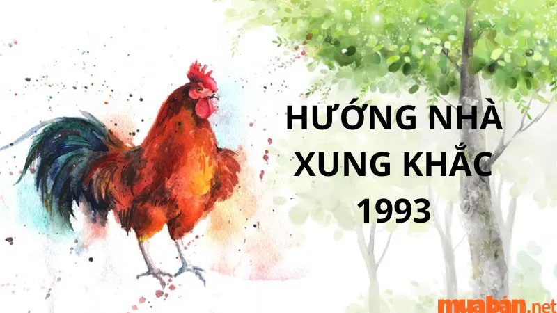 Tuổi Quý Dậu 1993 hợp hướng nào? Xem hướng hợp phong thủy tuổi 1993