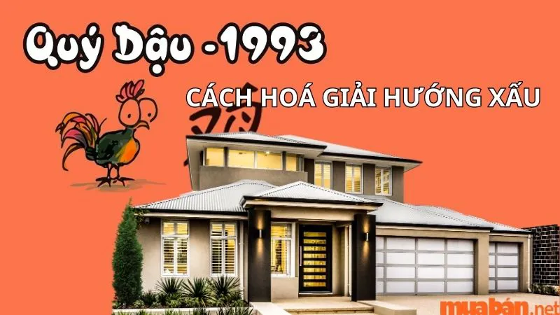 Tuổi Quý Dậu 1993 hợp hướng nào? Xem hướng hợp phong thủy tuổi 1993