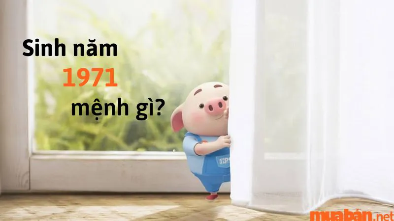 Tuổi Tân Hợi sinh năm 1971 mệnh gì? Hợp và kỵ màu gì? Hợp hướng nào?