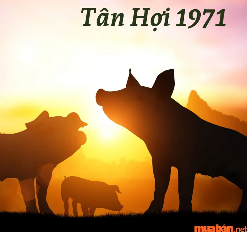 Tuổi Tân Hợi sinh năm 1971 mệnh gì? Hợp và kỵ màu gì? Hợp hướng nào?