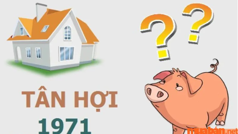 Tuổi Tân Hợi sinh năm 1971 mệnh gì? Hợp và kỵ màu gì? Hợp hướng nào?