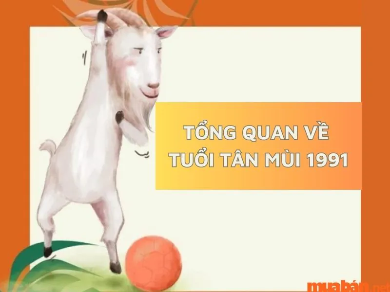 Tuổi Tân Mùi 1991 hợp hướng nào giúp đem đến may mắn, tài lộc