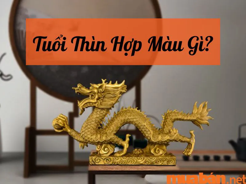 Tuổi Thìn Hợp Màu Gì, Kỵ Màu Gì? Cách Chọn Màu Phong Thủy Thu Hút Điều May