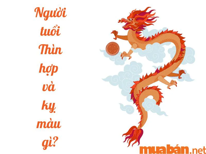 Tuổi Thìn Hợp Màu Gì, Kỵ Màu Gì? Cách Chọn Màu Phong Thủy Thu Hút Điều May