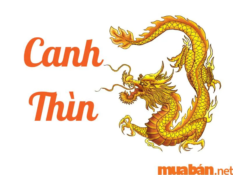 Tuổi Thìn Hợp Màu Gì, Kỵ Màu Gì? Cách Chọn Màu Phong Thủy Thu Hút Điều May