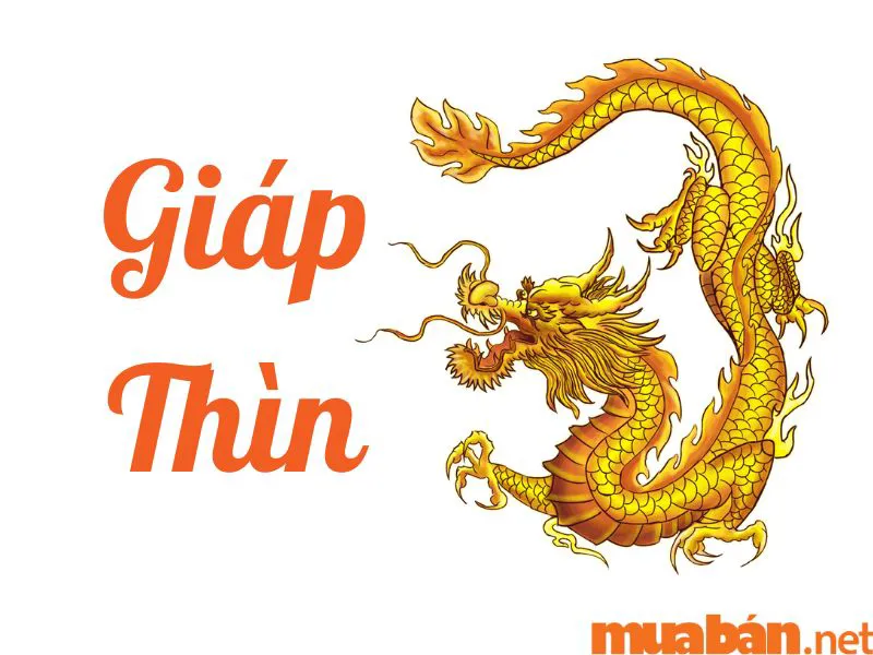 Tuổi Thìn Hợp Màu Gì, Kỵ Màu Gì? Cách Chọn Màu Phong Thủy Thu Hút Điều May