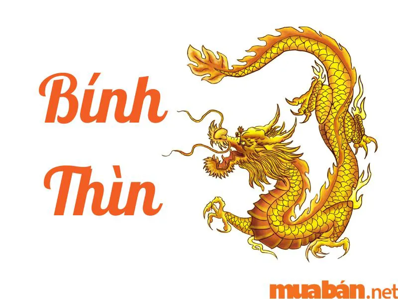 Tuổi Thìn Hợp Màu Gì, Kỵ Màu Gì? Cách Chọn Màu Phong Thủy Thu Hút Điều May