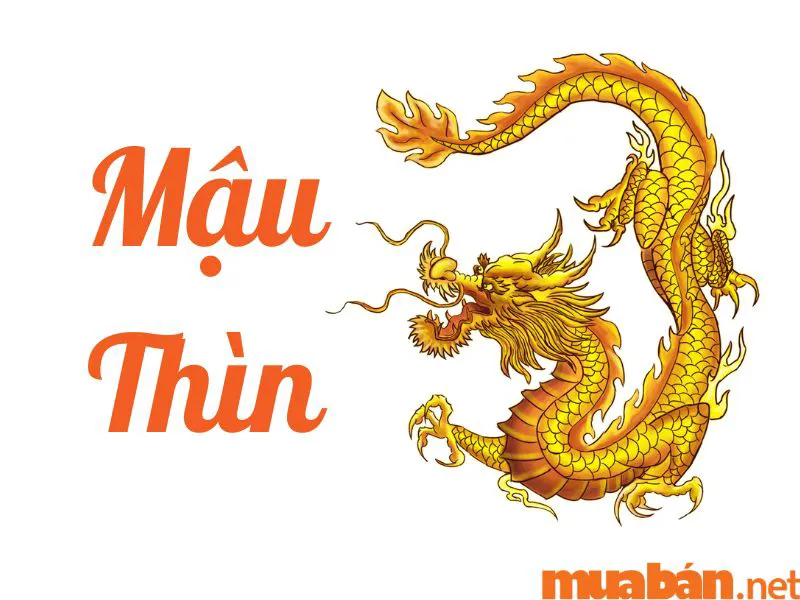 Tuổi Thìn Hợp Màu Gì, Kỵ Màu Gì? Cách Chọn Màu Phong Thủy Thu Hút Điều May