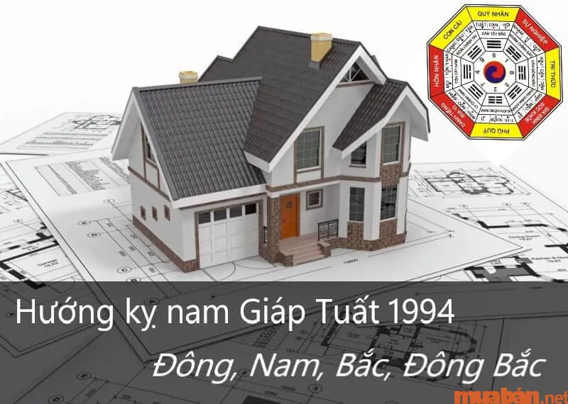 Tuổi tuất sinh năm 1994 hợp hướng nào? Hướng nhà chuẩn phong thủy