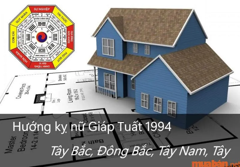 Tuổi tuất sinh năm 1994 hợp hướng nào? Hướng nhà chuẩn phong thủy