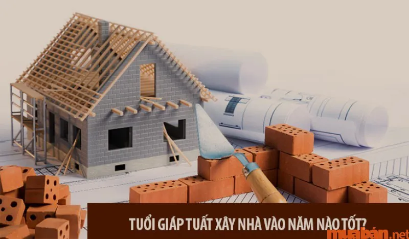 Tuổi tuất sinh năm 1994 hợp hướng nào? Hướng nhà chuẩn phong thủy