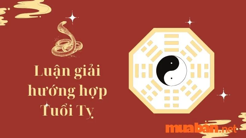 Tuổi Tỵ hợp hướng nào? Hướng nhà tài lộc cho người tuổi Tỵ