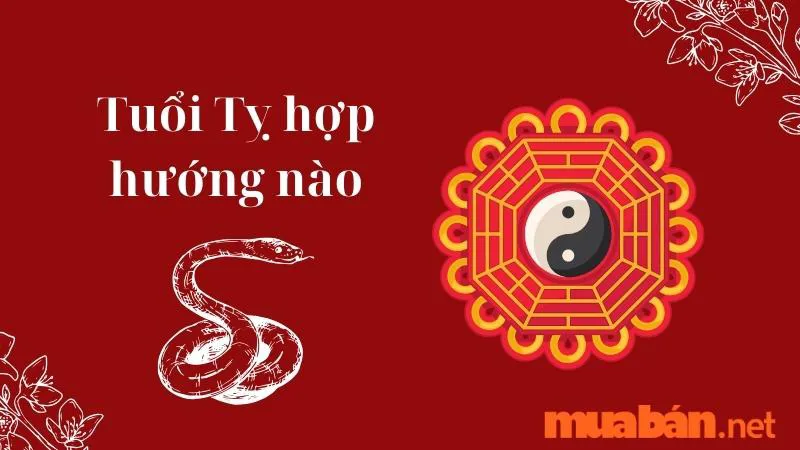 Tuổi Tỵ hợp hướng nào? Hướng nhà tài lộc cho người tuổi Tỵ