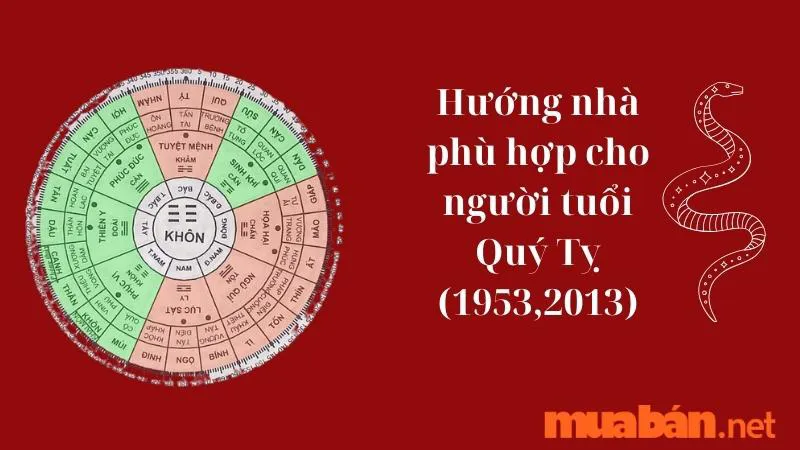 Tuổi Tỵ hợp hướng nào? Hướng nhà tài lộc cho người tuổi Tỵ