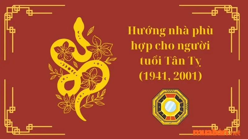 Tuổi Tỵ hợp hướng nào? Hướng nhà tài lộc cho người tuổi Tỵ