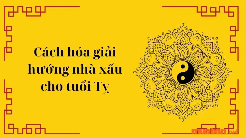 Tuổi Tỵ hợp hướng nào? Hướng nhà tài lộc cho người tuổi Tỵ