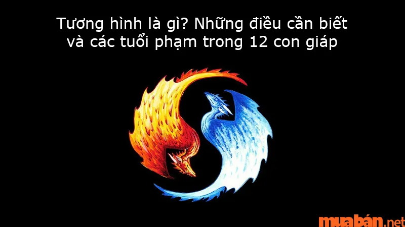 Tương hình là gì? Những điều cần biết và các tuổi phạm trong 12 con giáp