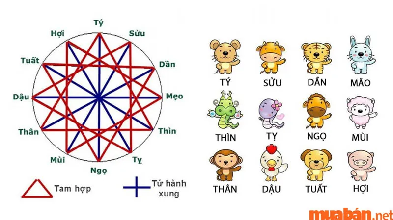 Tương hình là gì? Những điều cần biết và các tuổi phạm trong 12 con giáp