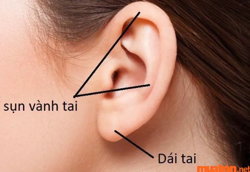 Tướng tai xấu có đặc điểm gì? Ảnh hưởng đến nhân tướng học ra sao?