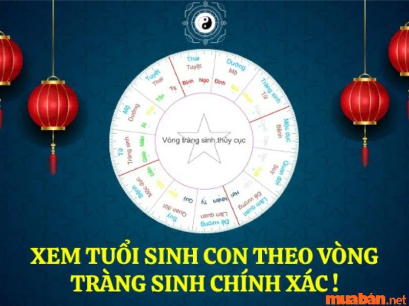 Vòng Tràng Sinh Là Gì? Cách Sử Dụng Vòng Tràng Sinh Chọn Năm Sinh Con