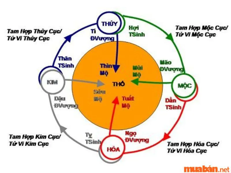 Vòng Tràng Sinh Là Gì? Cách Sử Dụng Vòng Tràng Sinh Chọn Năm Sinh Con