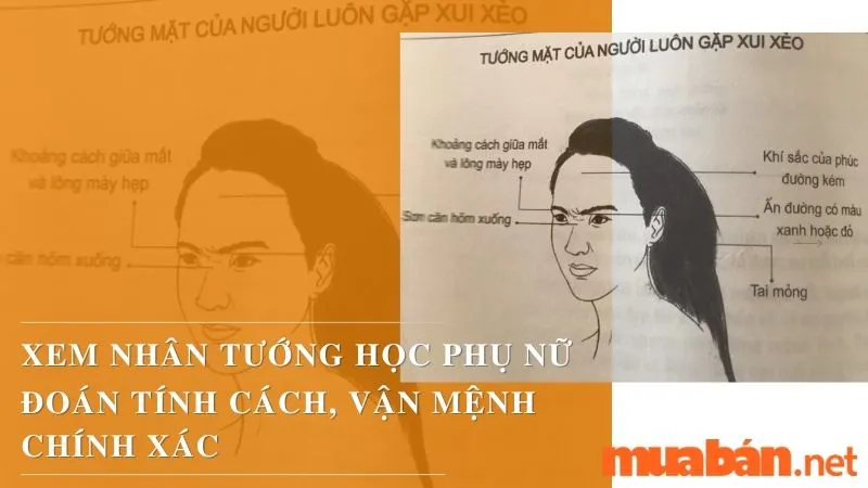 Xem Nhân Tướng Học Phụ Nữ Đoán Tính Cách Và Vận Mệnh Chính Xác