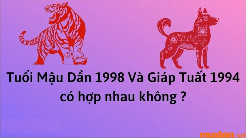 Xem Tuổi Nam 1994 lấy vợ tuổi nào thì hợp? Nên kết hôn năm bao nhiêu tuổi?