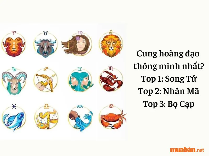 Xếp hạng 12 cung hoàng đạo thông minh nhất?