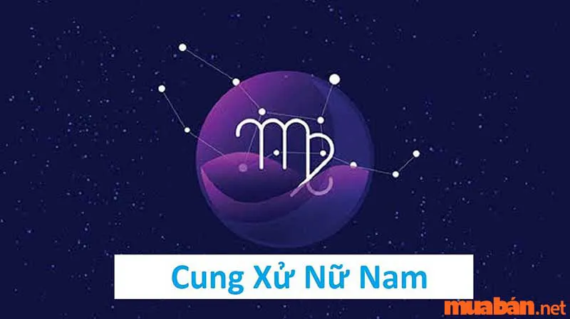 Xử Nữ và Cự Giải có phải cặp đôi hoàn hảo trời sinh không?