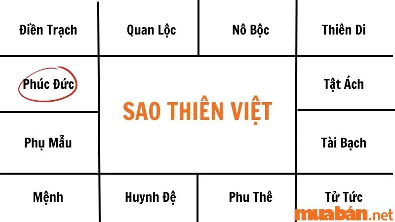 Ý nghĩa khi kết hợp Sao Thiên Việt với các cung khác