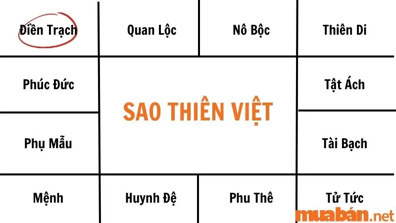 Ý nghĩa khi kết hợp Sao Thiên Việt với các cung khác
