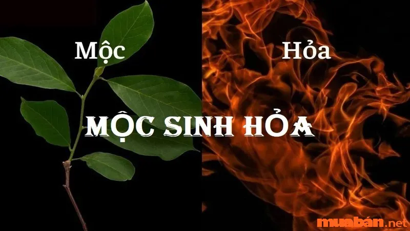 Ý nghĩa Mộc sinh Hoả trong Ngũ hành và các ứng dụng trong đời sống