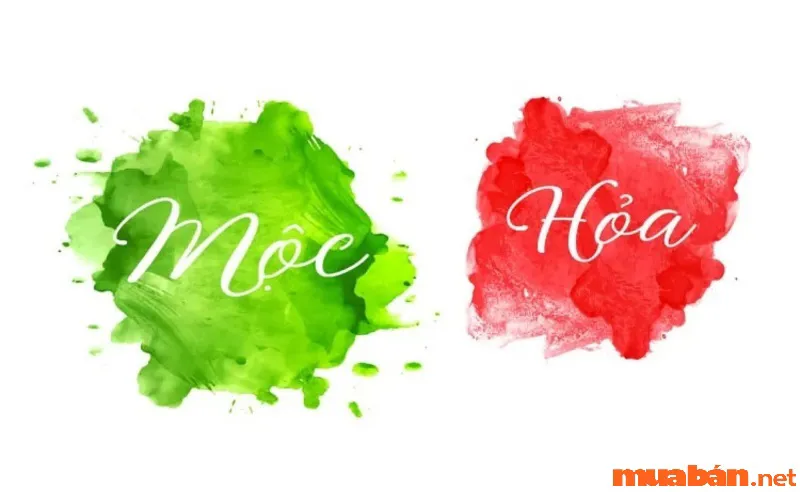 Ý nghĩa Mộc sinh Hoả trong Ngũ hành và các ứng dụng trong đời sống