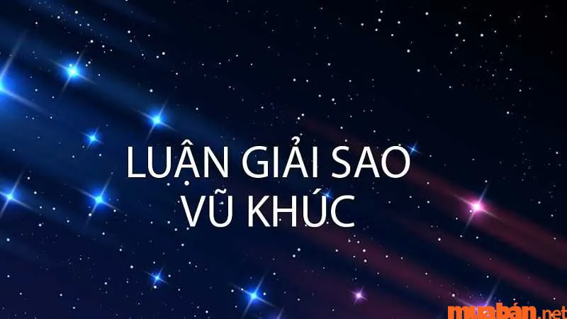 Ý Nghĩa Sao Vũ Khúc Tại Mệnh Và Từng Cung Trong Lá Số Tử Vi