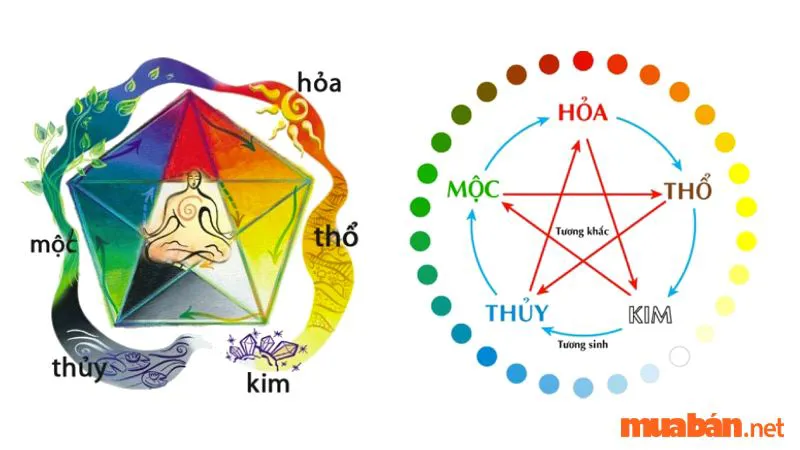 Ý nghĩa Thủy sinh Mộc trong ngũ hành và các ứng dụng trong đời sống